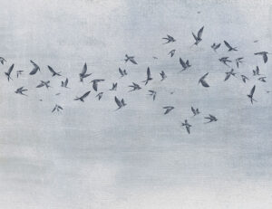 Delicati uccelli su uno sfondo blu testurizzato carta da parati